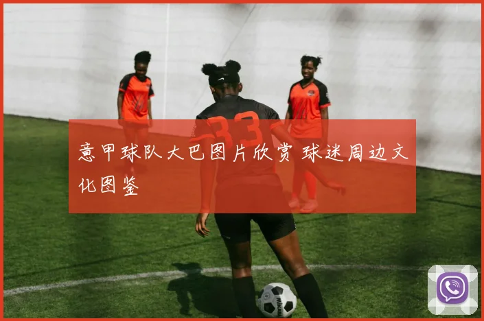 意甲球队大巴图片欣赏 球迷周边文化图鉴