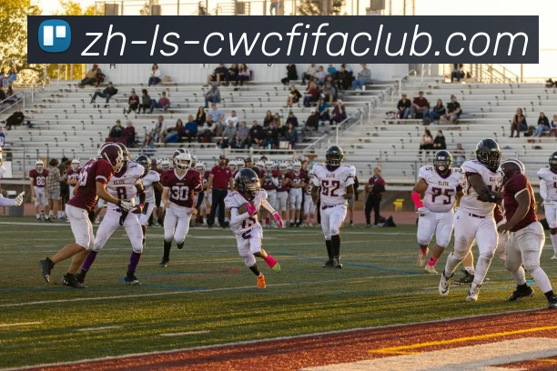 世界杯竞猜APP 高清赛事图